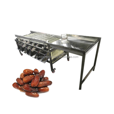 Easy Operation Stainless Steel Date Palm Jujube Grading Machine 1000 Kg/H Hour Dates Sorter For Sale