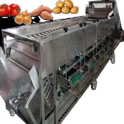 food &amp;amp; Beverage Factory Potatoes Onions Tomatoes Sweet Potatoes Dimension Sorting Roll Grading Machine