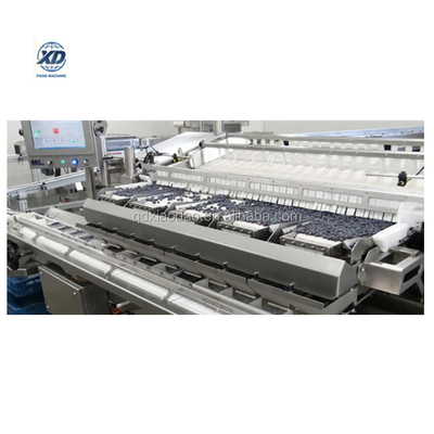 automatic blueberries sorter, blueberry snack factory sorter,