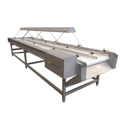 Adjustable Speed ​​Dates Inspection Table Matching Conveyor Machinery Sorting Table Belt Conveyor