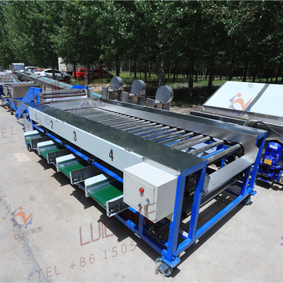 food &amp;amp; Beverage factory automatic date grading machine for five grdes