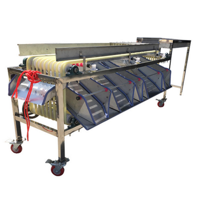Production Track Type Fruit Snacks Factory Stainless Steel Sorting Machine